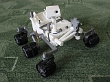 Picture of Microtela 2024
