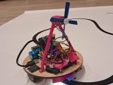 Picture of Microtela 2025